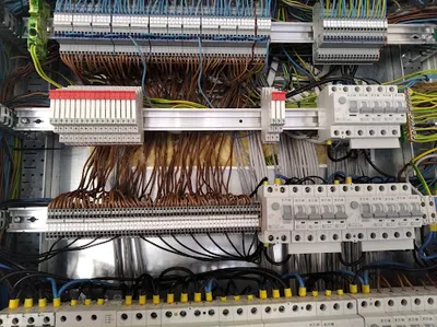 Rafał Żołądkiewicz inseleaut